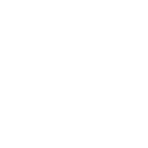 iso 9001 certification badge white