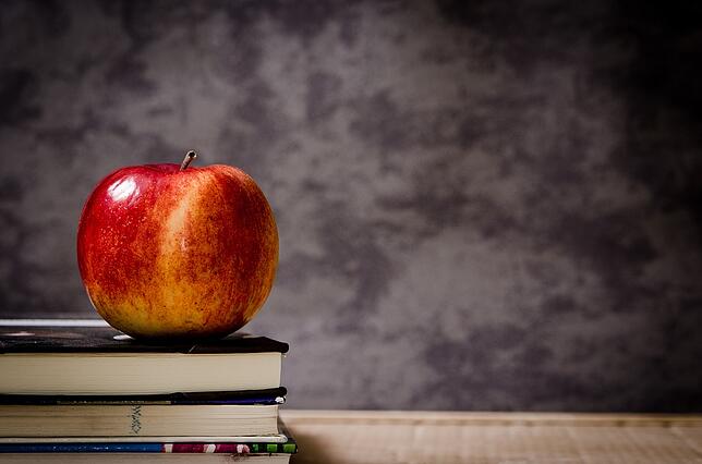 School black board with books and an apple