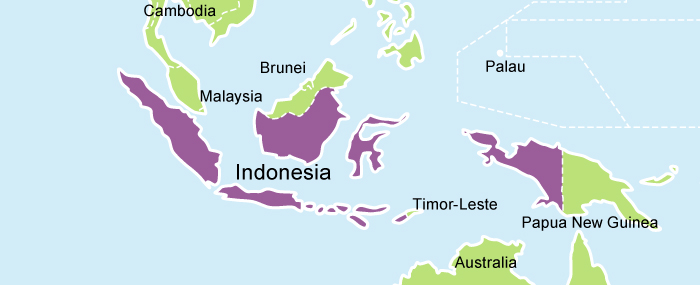 A picture of a map of Indonesia highlighted in purple.